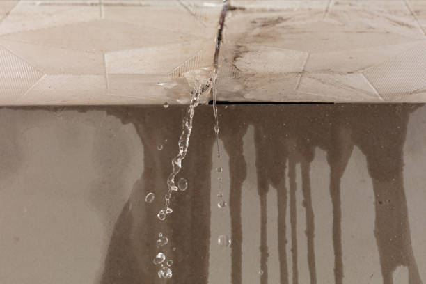 Professional Water Damage Repair technician working in Flower Mound, TX